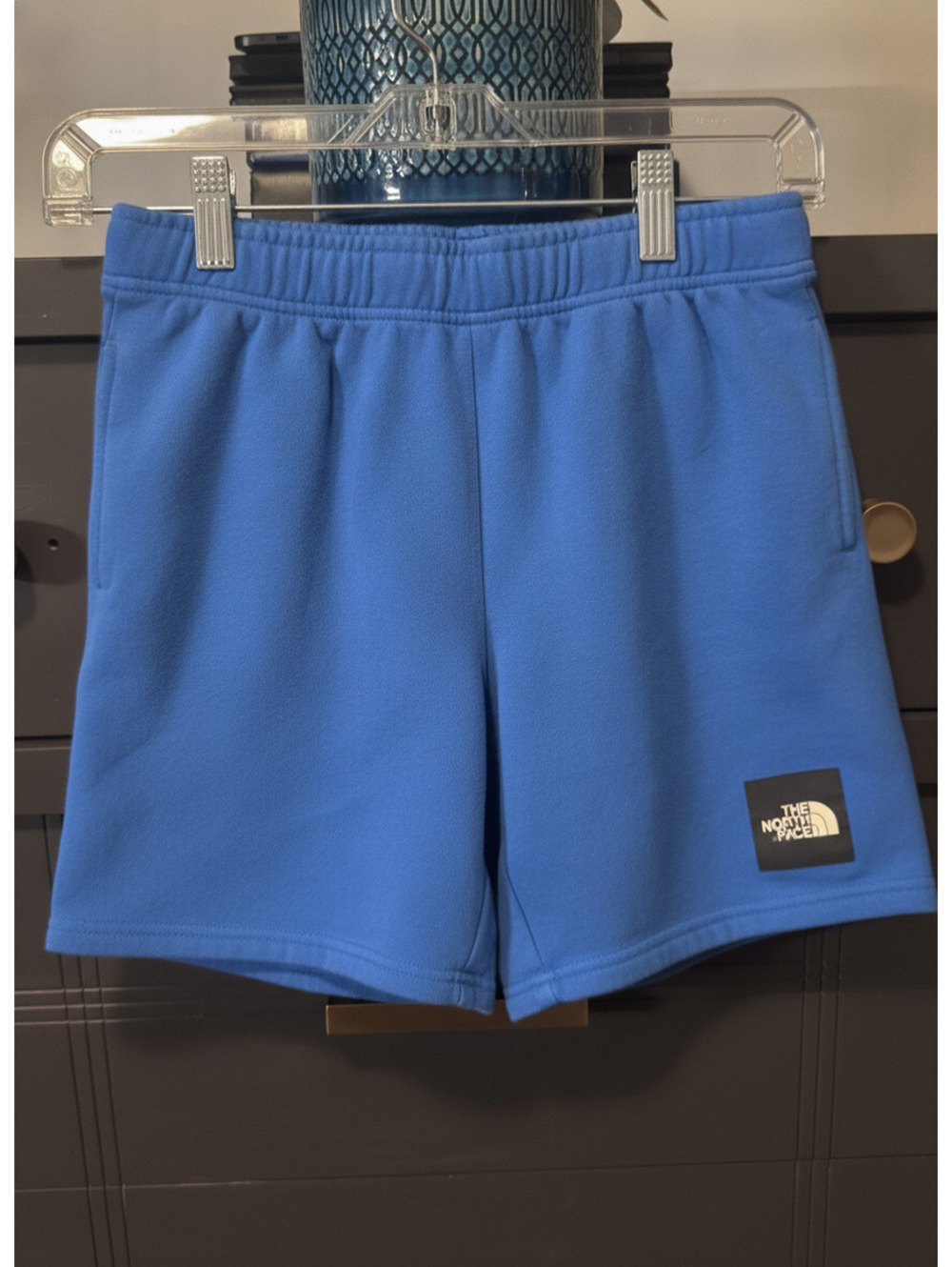 The North Face Blue Fleece Shorts